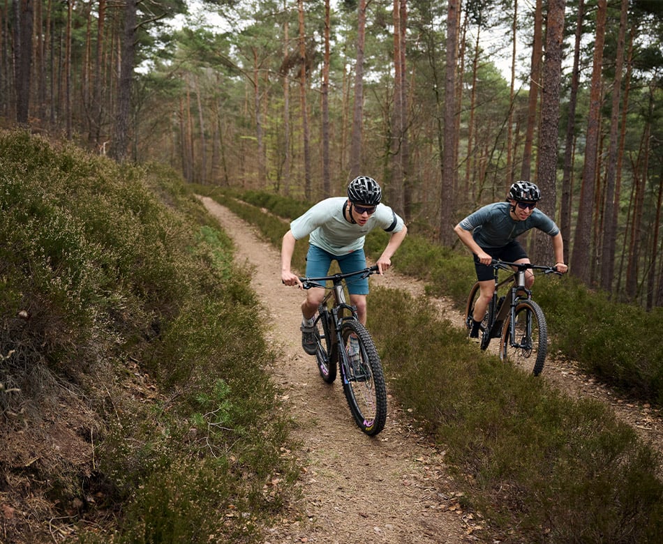 MTB Hardtail: Leichte Bikes fr dein Abenteuer | FOCUS Bikes