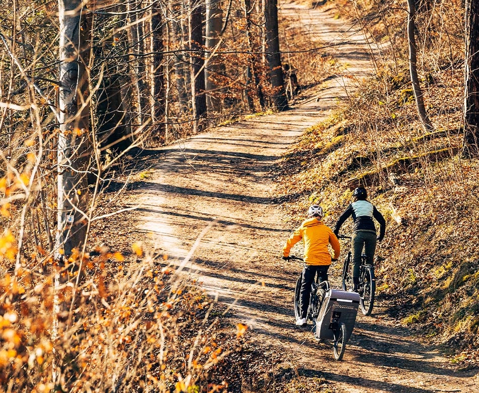 Straight through the forest with an e-MTB: FOCUS JARIFA²