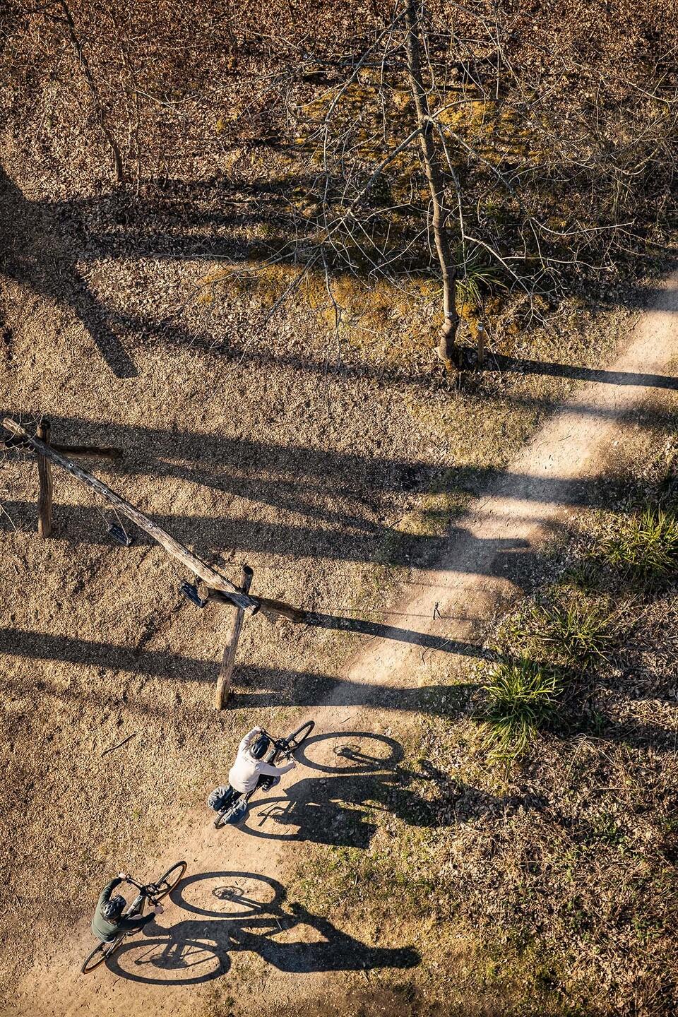 Straight through the forest with an e-MTB: FOCUS JARIFA²