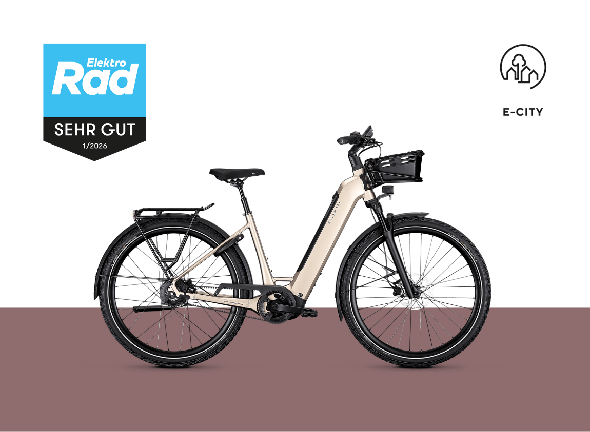 Beiges E-Citybike mit Frontkorb, schwarzen Reifen und Logo-Emblemen. Weißer Hintergrund mit braunem Boden. Testsiegel Elektrorad