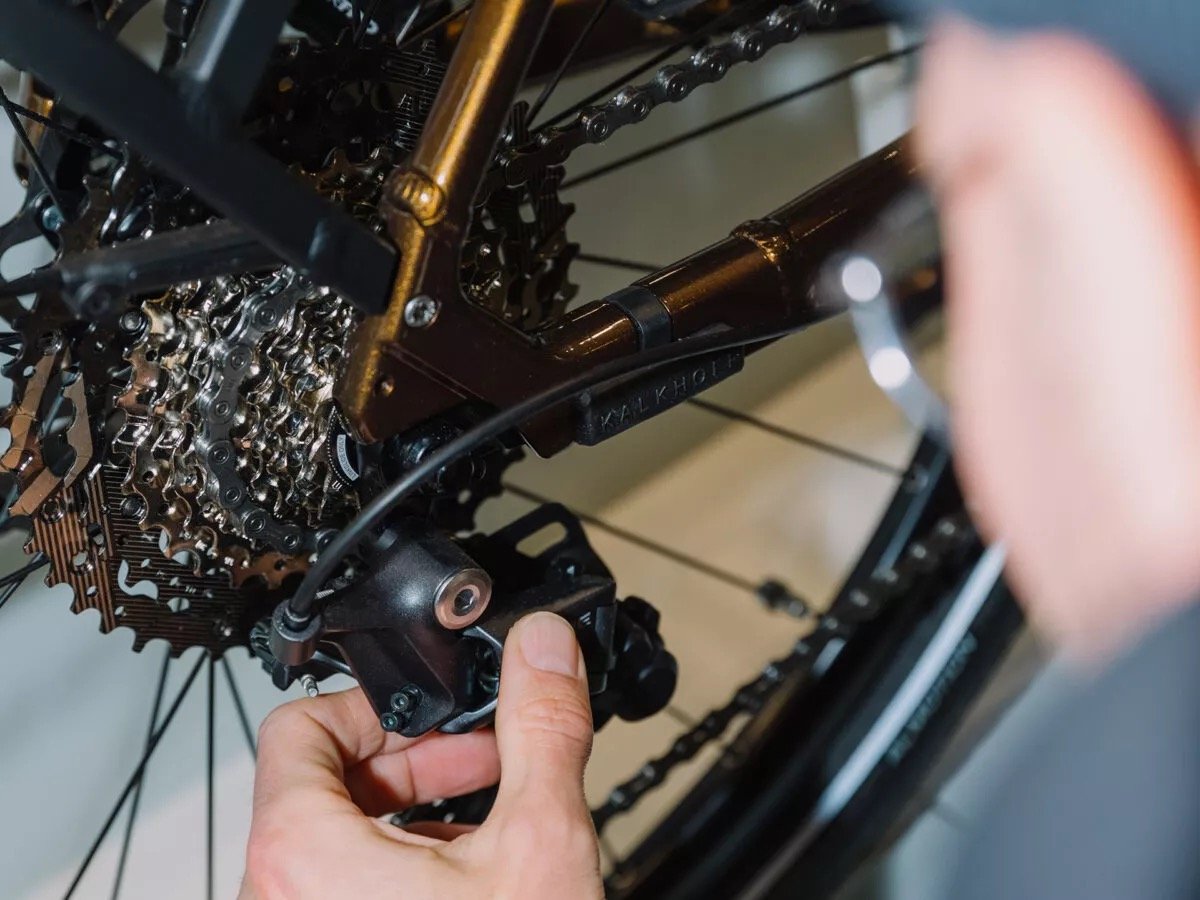 Insbesondere im Frühjahr macht ein E-Bike Check Sinn. (Foto: Paul Aidan Perry)