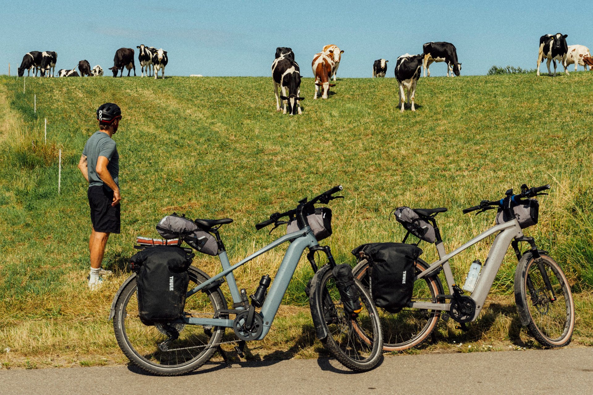 Two bicycles parked on a road; a person in cycling gear observes cows grazing on a grassy hill under a clear blue sky.