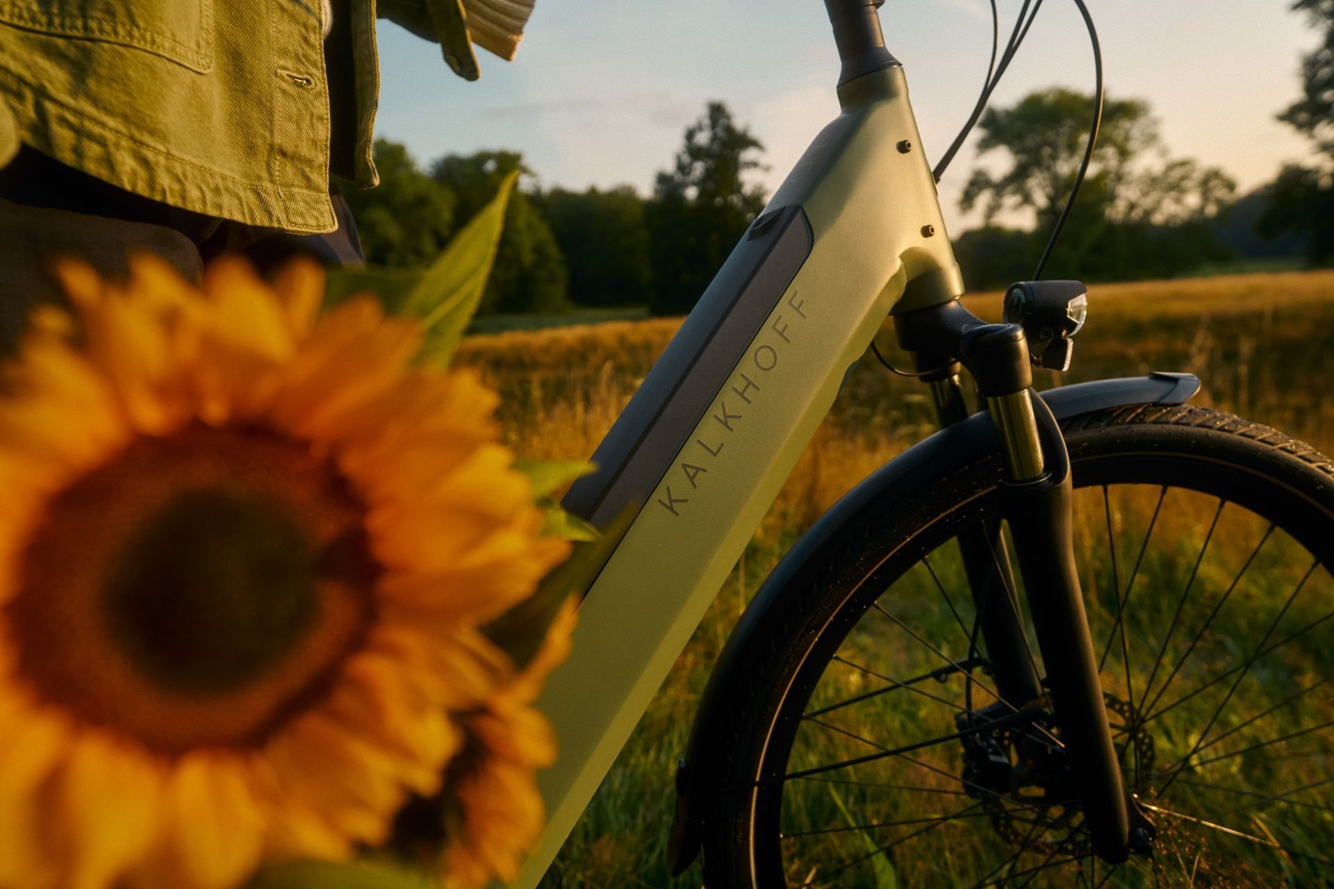 Kalkhoff E-Bike Image 5 excite ABS