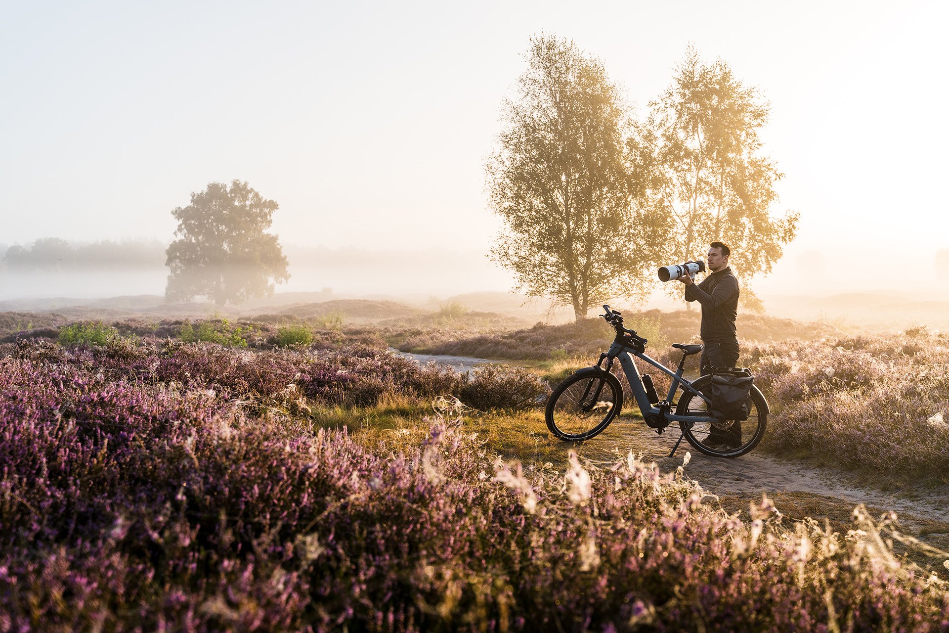 Photographer on a bike with a large camera, capturing a misty landscape with purple heather and distant trees at sunrise.