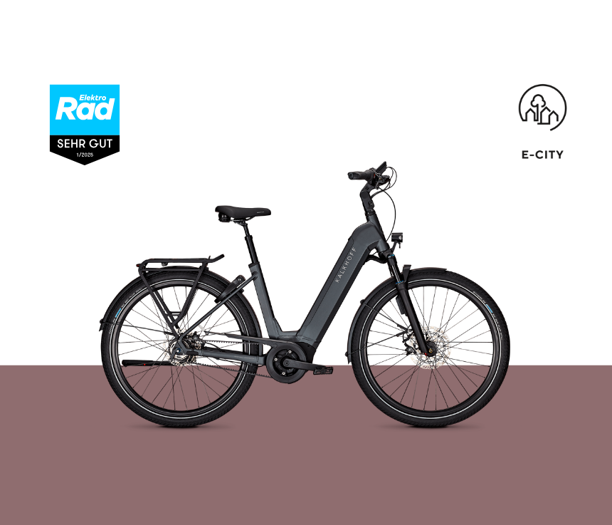 Elektrorad Testergebnis Image 5 Advance Abs sehr gut