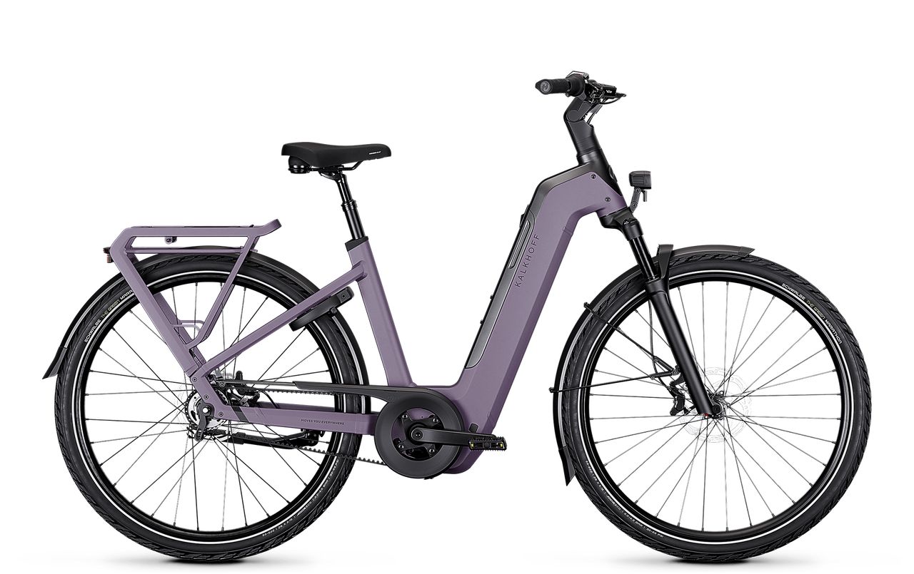 E Bike 180 Kg Gesamtgewicht Test