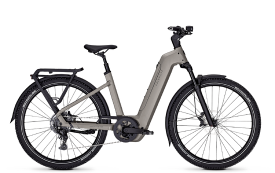 trekkingrad pegasus damen E-Bike Trekking Pegasus Estremo Evo 12 Lite Damen 2026 main image 0