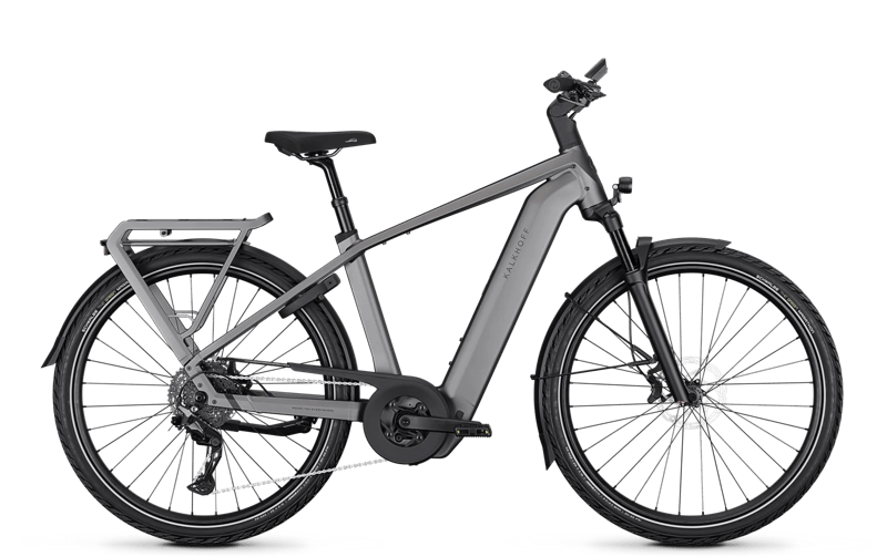 gazelle e bike damen in holland kaufen Grenoble C8 E-Bike 2026 Zahnspange reinigen - so 13ah Grotte:Groß