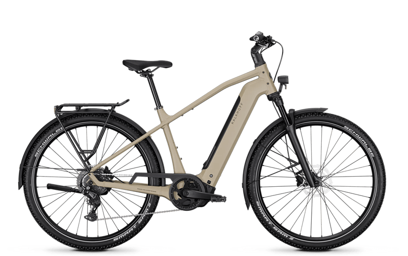 kettler e mountainbike QUADRIGA CX10 grau (hell) | 800WH | E-Bike Herren Trekking 2022 Canyon Spectral:ON CF Bosch Performance Line CX Option:Black*2