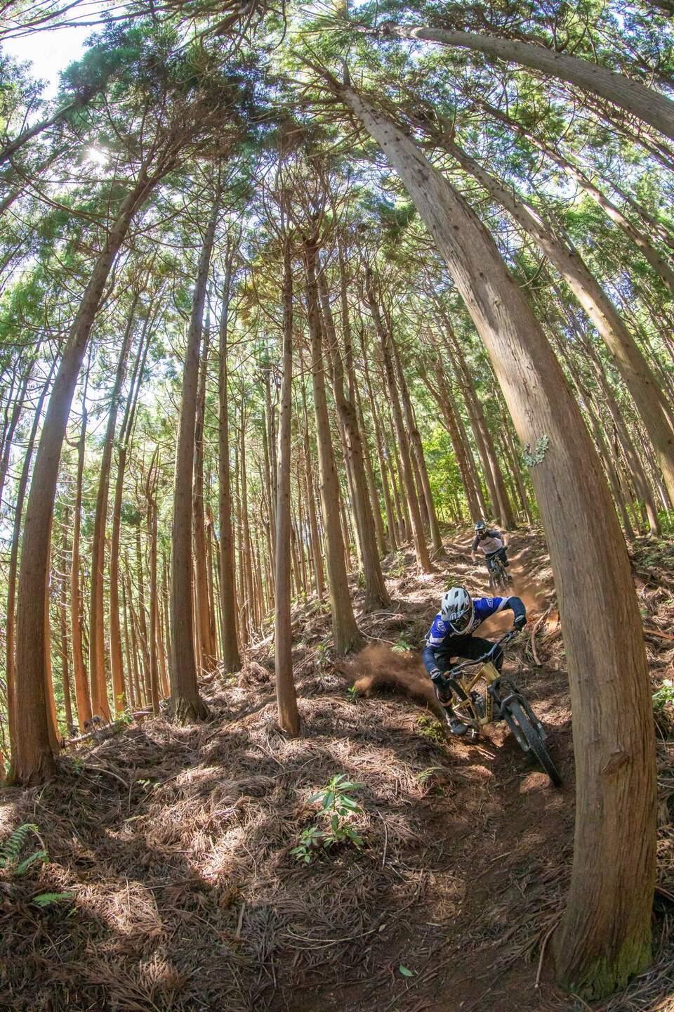 Behind the scenes Focus Trail Team on Madeira
