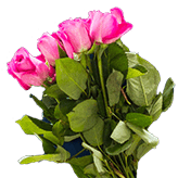 A LOVE THAT LASTS FLOWER