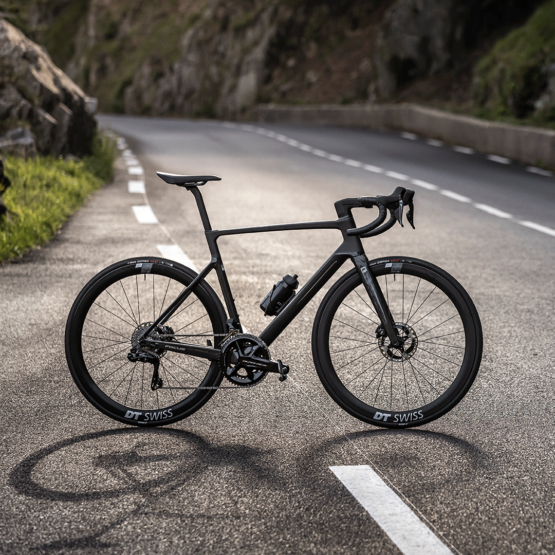 Focus izalco max 2025