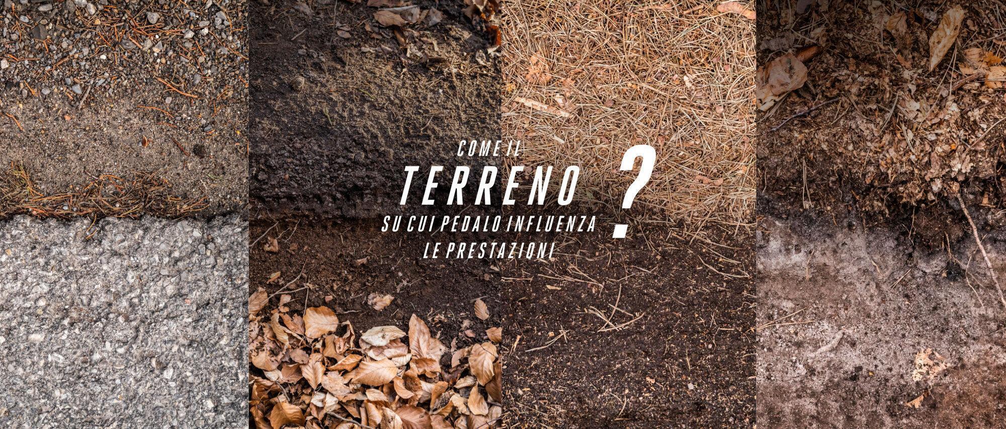 Terrain