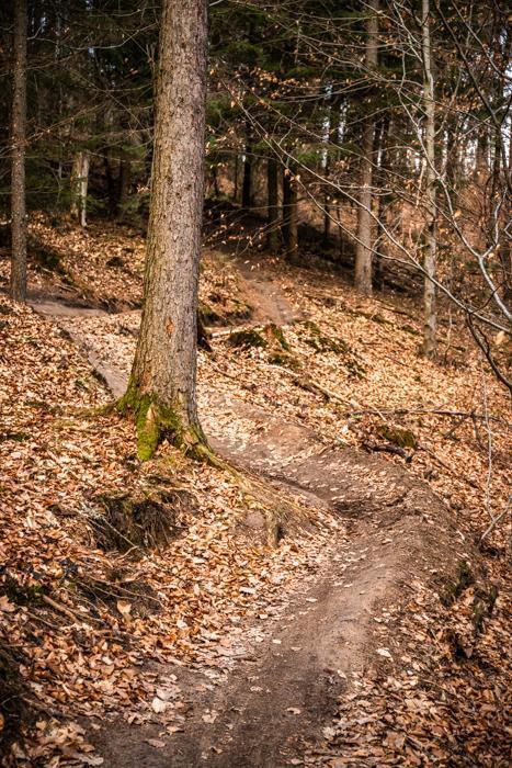 trail