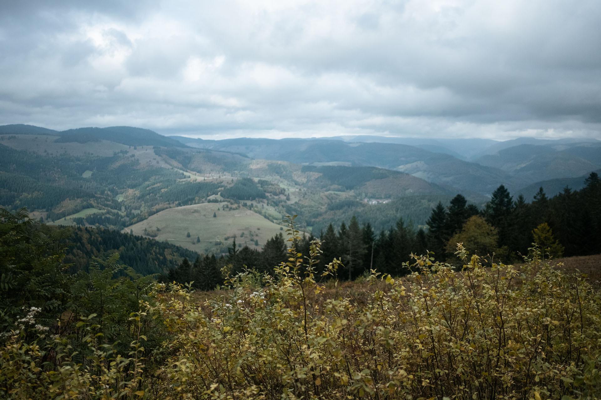 Bikepacking