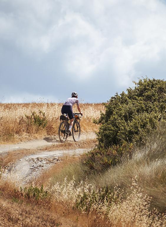SULLA VIA