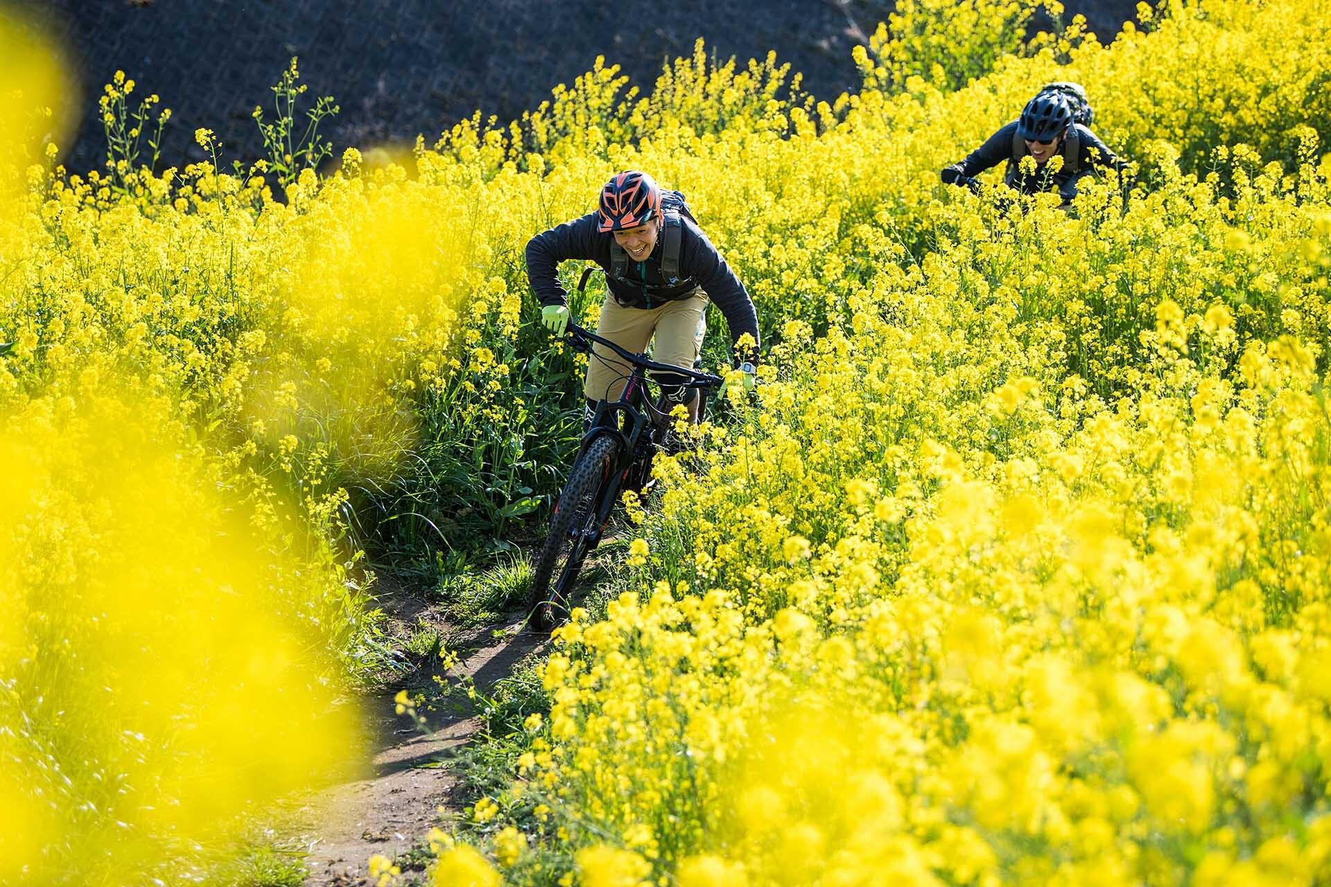 Bike in Japan