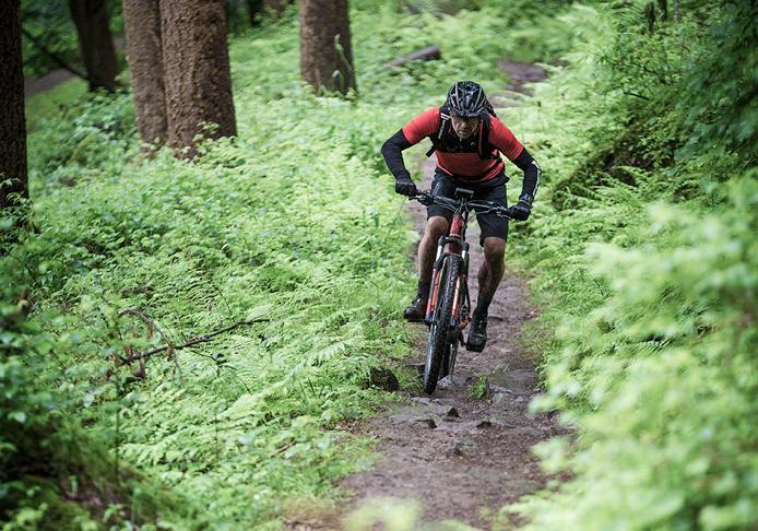 E-MTB